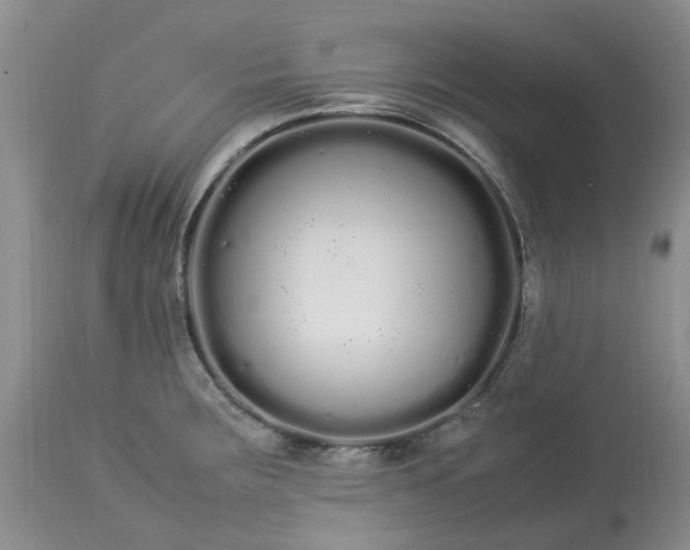 X0000113621283200910021819