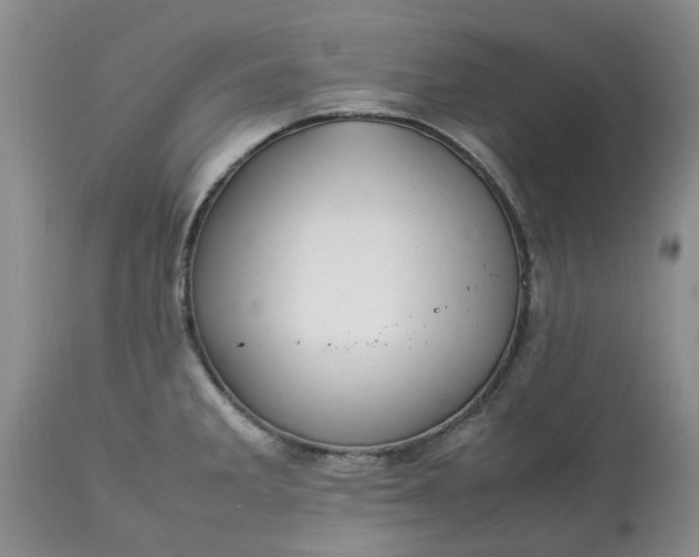 X0000113621285200910021819