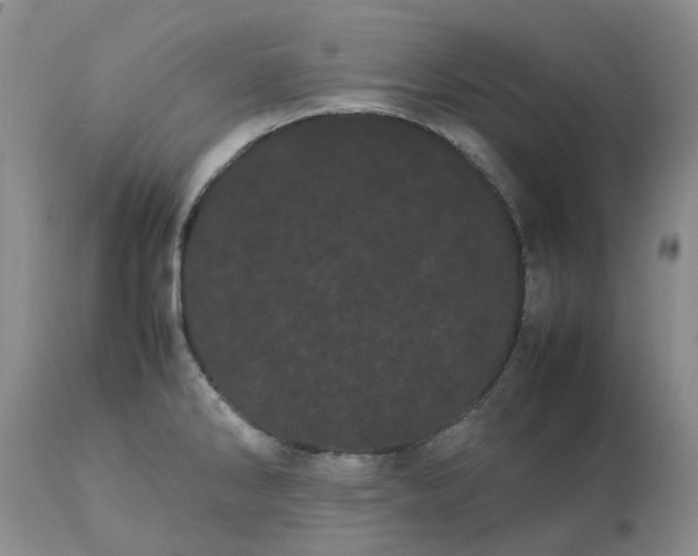 X0000113621286200910021818