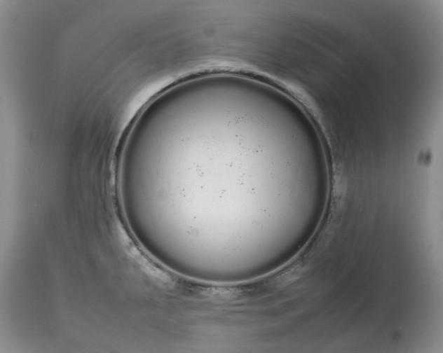 X0000113621287200910021818