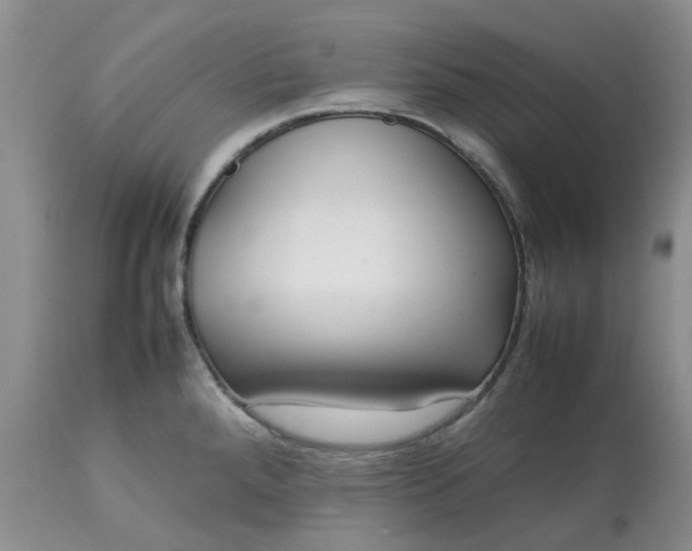 X0000113621288200910021818