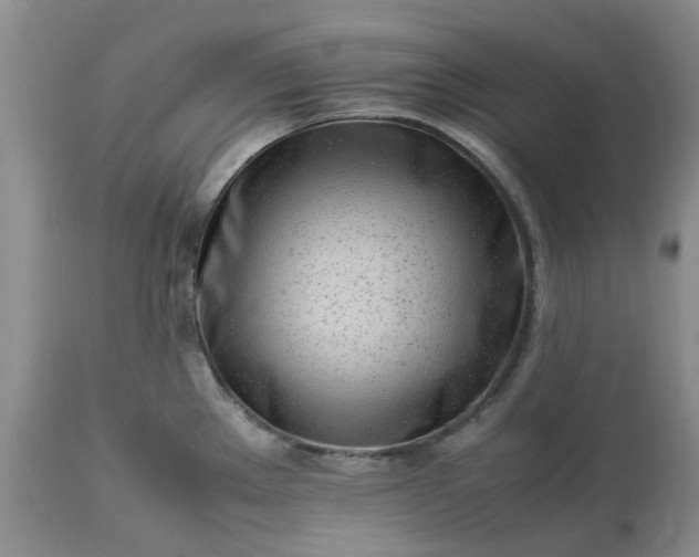 X0000113621289200910021818