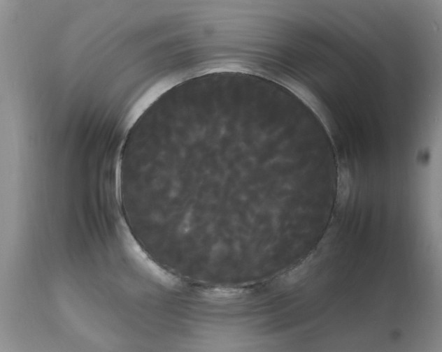 X0000113621290200910021818