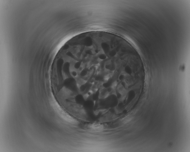 X0000113621291200910021818