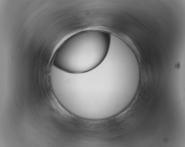 X0000113621292200910021818