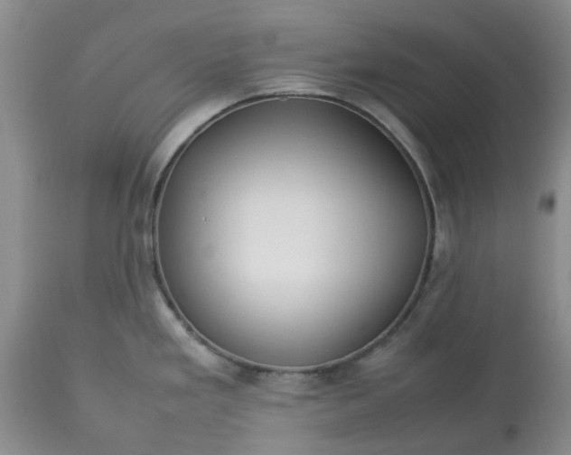 X0000113621293200910021818