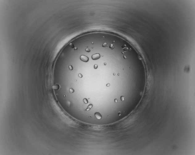 X0000113621295200910021818