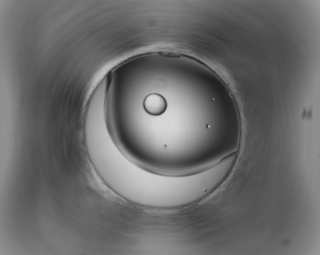 X0000113621296200910021818