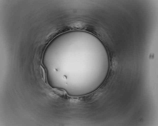 X0000113621297200910021818