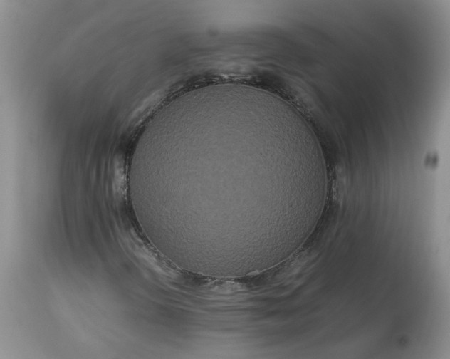 X0000113621298200910021818