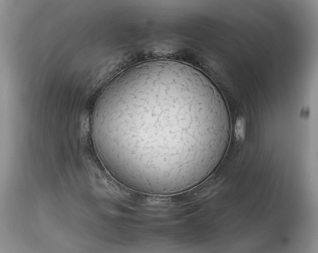 X0000113621299200910021818