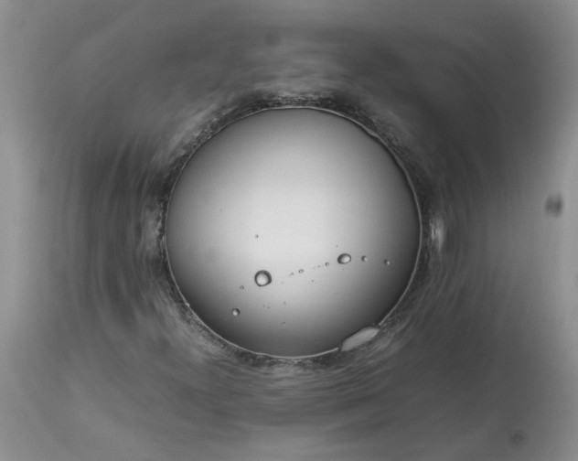 X0000113621300200910021818