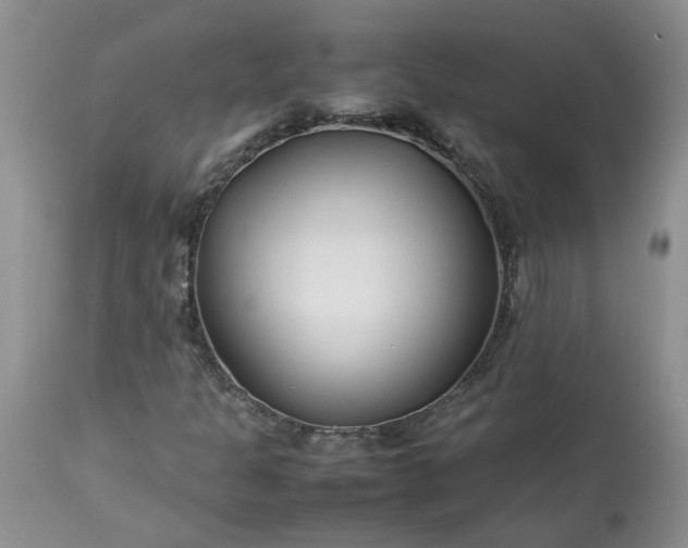 X0000113621301200910021818