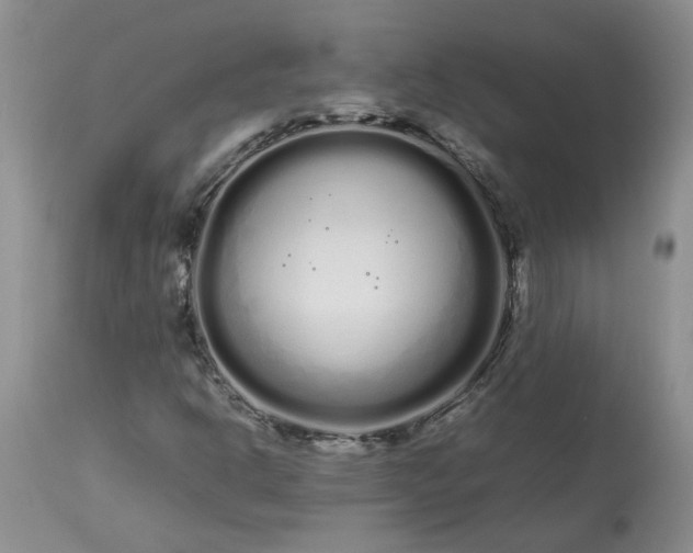 X0000113621302200910021818