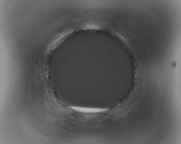 X0000113621303200910021818