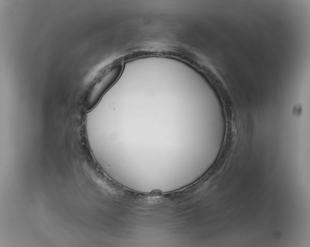 X0000113621304200910021818