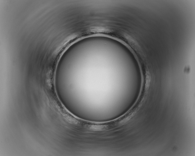 X0000113621305200910021818