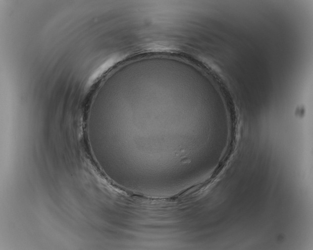 X0000113621306200910021818