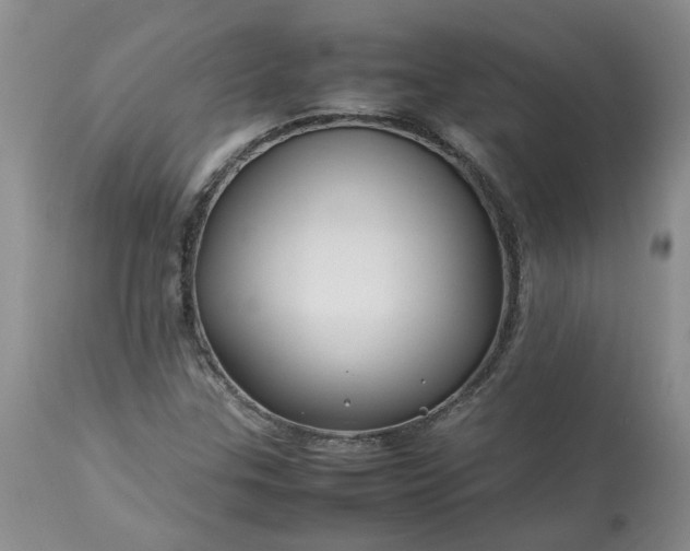 X0000113621307200910021818