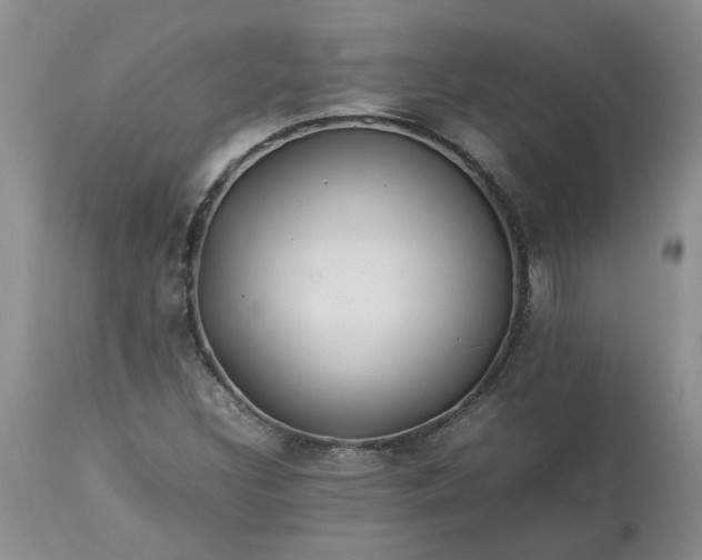 X0000113621308200910021818