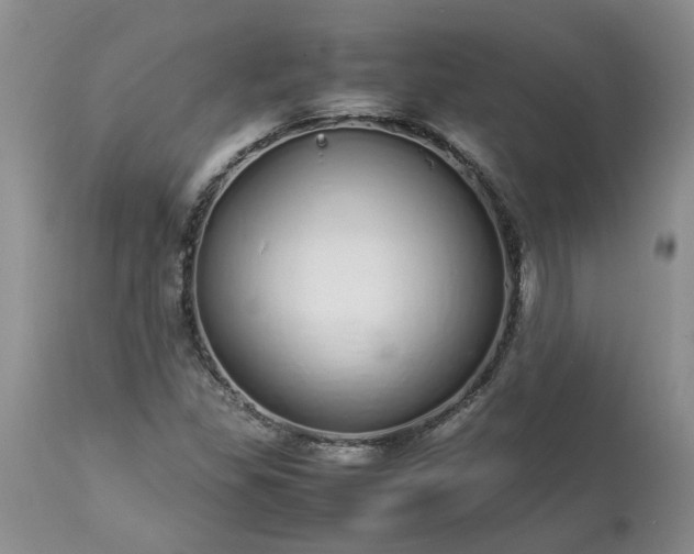 X0000113621309200910021818