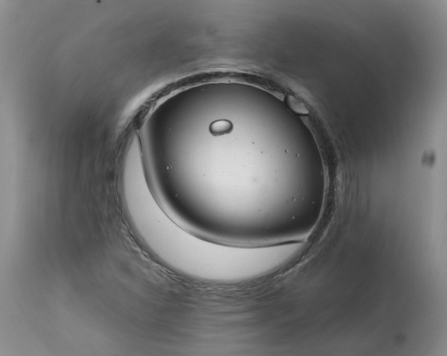 X0000113621310200910021818