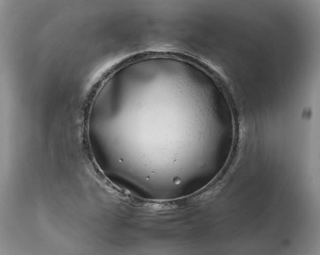 X0000113621311200910021818