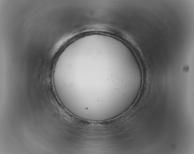 X0000113621312200910021818