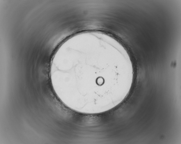 X0000113621314200910021818