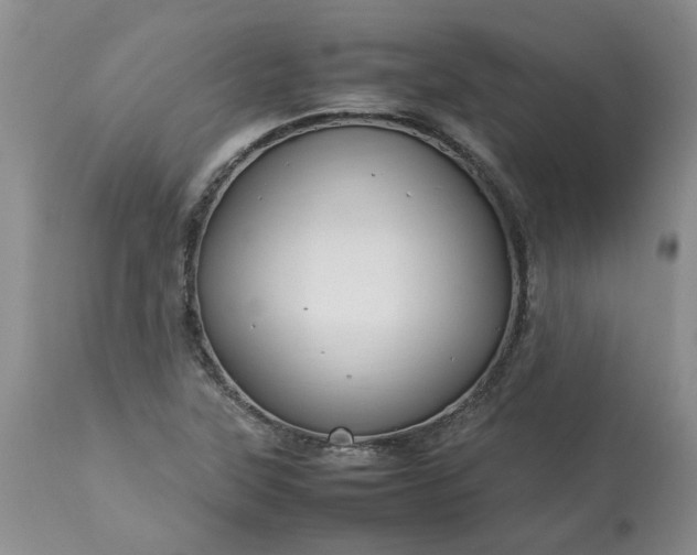 X0000113621315200910021818