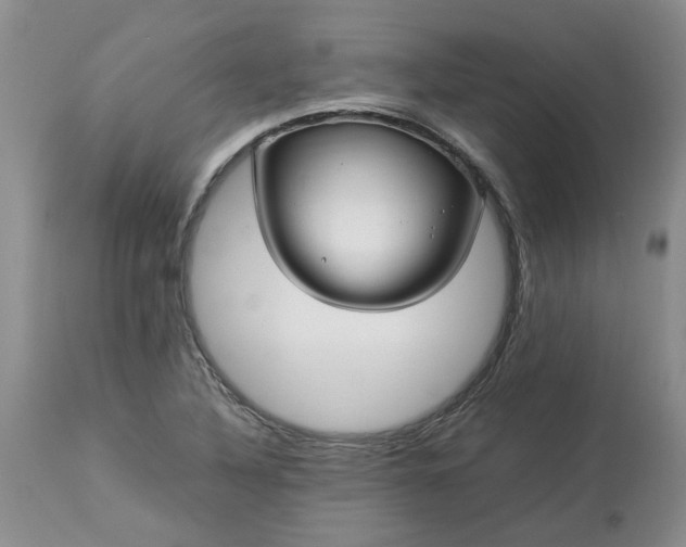 X0000113621316200910021818