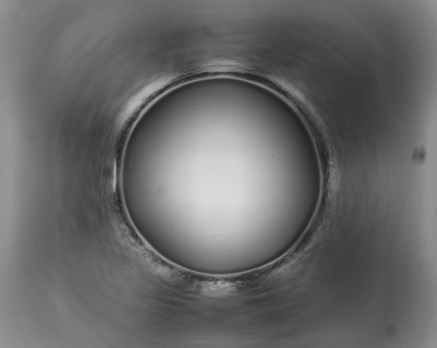 X0000113621317200910021818