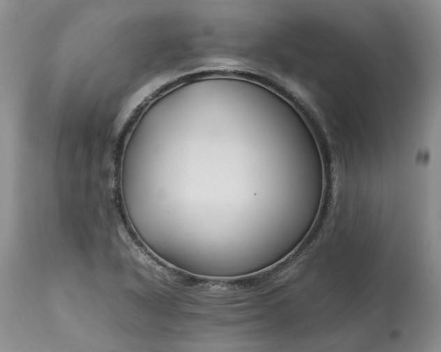 X0000113621318200910021818