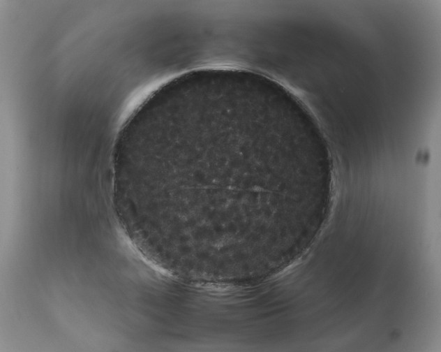 X0000113621319200910021818