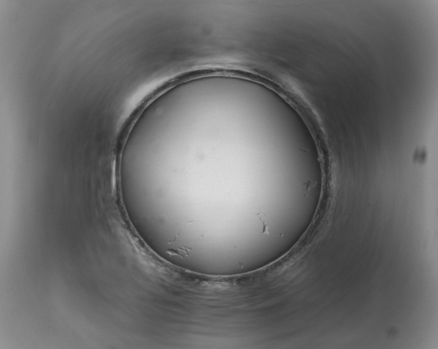 X0000113621320200910021818