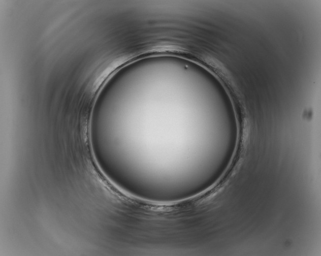 X0000113621321200910021818