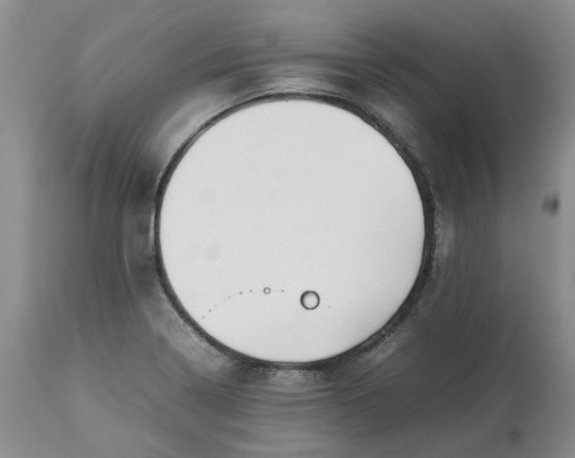 X0000113621322200910021818