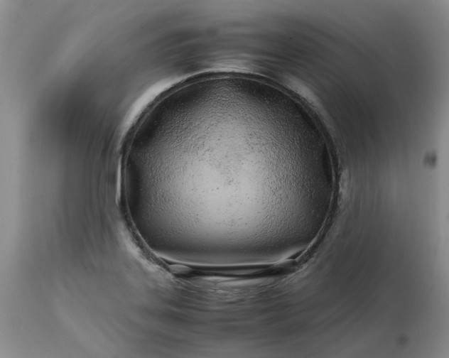 X0000113621323200910021818