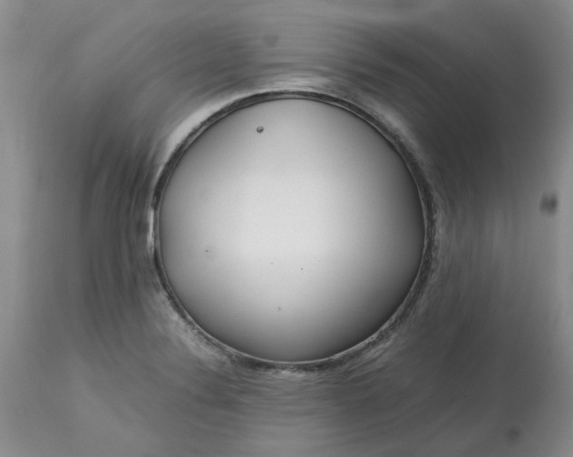 X0000113621324200910021818