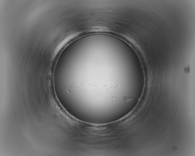 X0000113621325200910021818