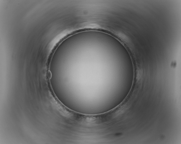 X0000113621326200910021818