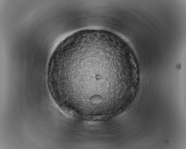 X0000113621327200910021818