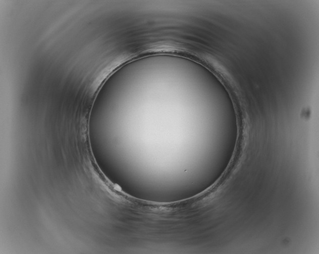 X0000113621329200910021818