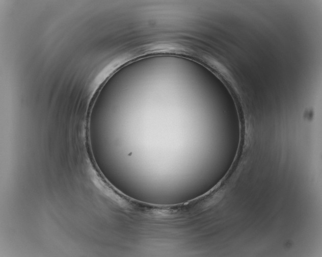 X0000113621330200910021818