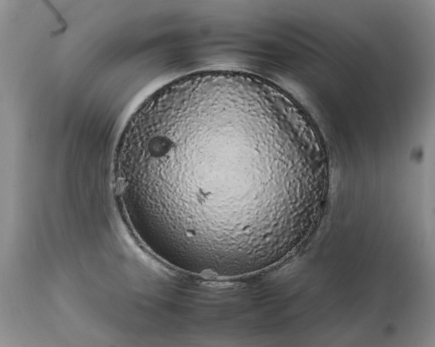 X0000113621331200910021818