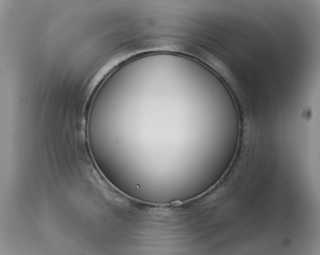 X0000113621332200910021818