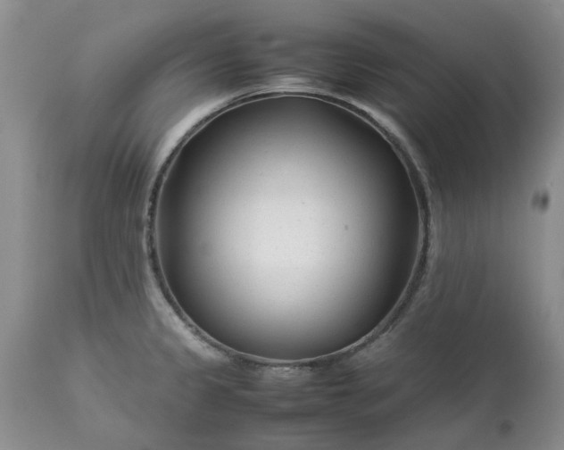 X0000113621333200910021818