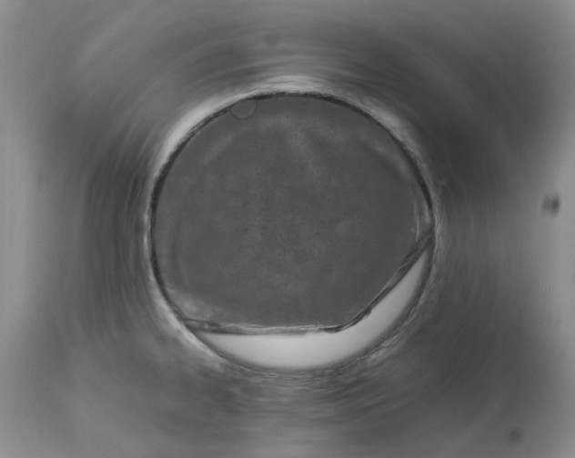 X0000113621334200910021818