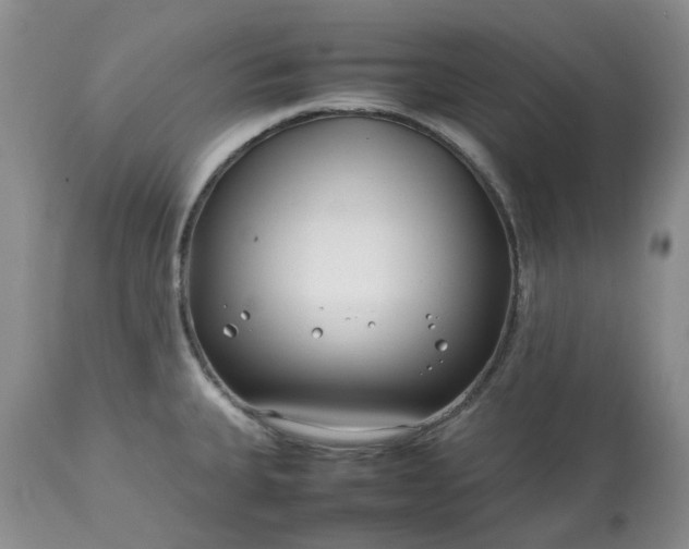 X0000113621335200910021818