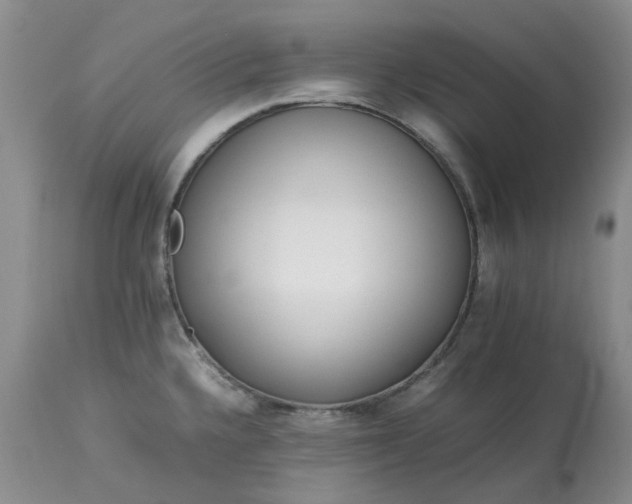 X0000113621336200910021818